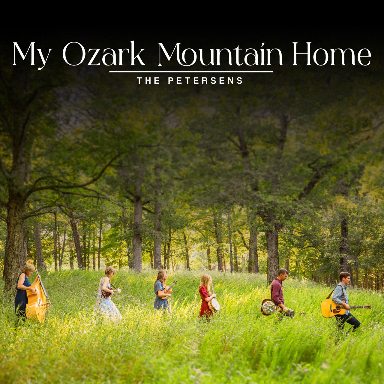 My Ozark Mountain Home Cover Art
